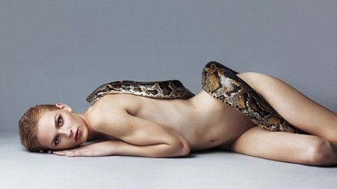 Thời đại của mẫu lưỡng tính: Thế giới có Andreja Pejic, Việt Nam có Adray Minh Ảnh 2