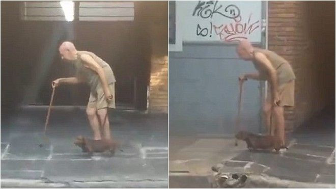 Ngưỡng mộ chú chó kiên trì 'nhất quả đất' dẫn chủ ngoài 70 tuổi đi đường Ảnh 2