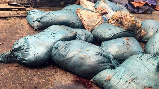 Đột kích cơ sở sản xuất 'mỡ ruồi bâu' ở Hà Nội Ảnh 2