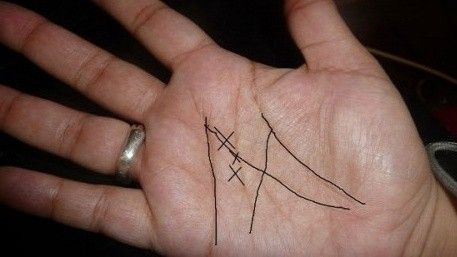 Những điều chưa biết về người có đường chỉ tay hình chữ M Ảnh 2