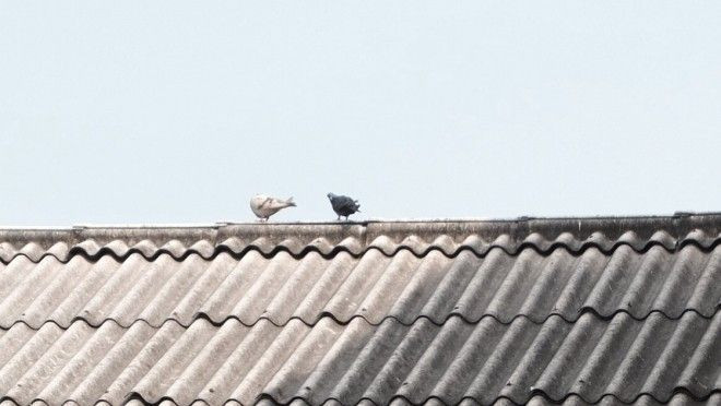 Thế giới có hai thái cực, ai khổ hơn ai? Ảnh 2