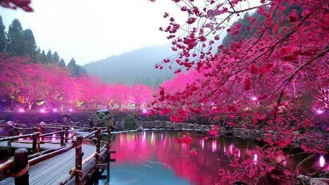 Những điểm đến hút khách Việt nhất vào dịp giỗ Tổ Hùng Vương Ảnh 2