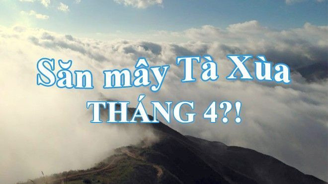 Tháng 4 dân phượt vẫn nô nức trèo 'lưng khủng long' săn mây Tà Xùa Ảnh 2
