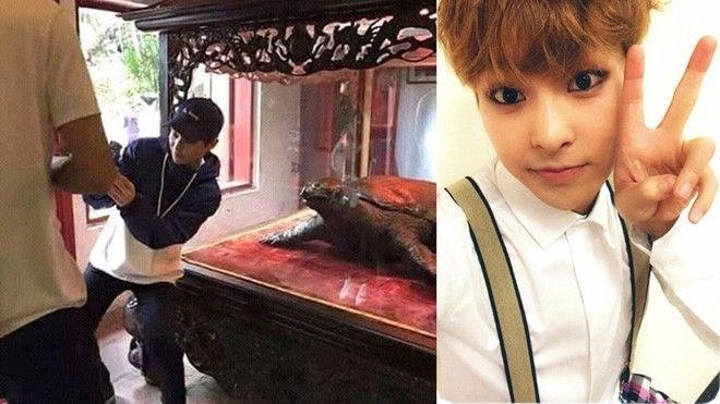 HOT: Rò rỉ hình ảnh thành viên đáng yêu nhất EXO - Xiumin đang ở Hà Nội Ảnh 2