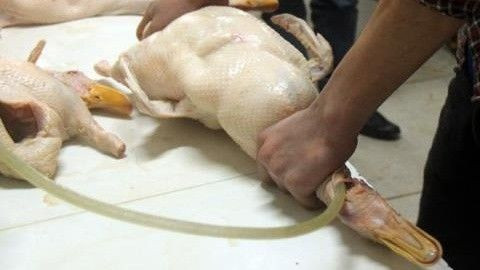 Chủ cửa hàng vịt quê giúp người mua nhận biết vịt bơm nước Ảnh 2