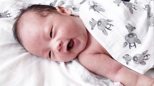 Ly Kute khoe ảnh con trai, giống hệt Mạc Hồng Quân Ảnh 2