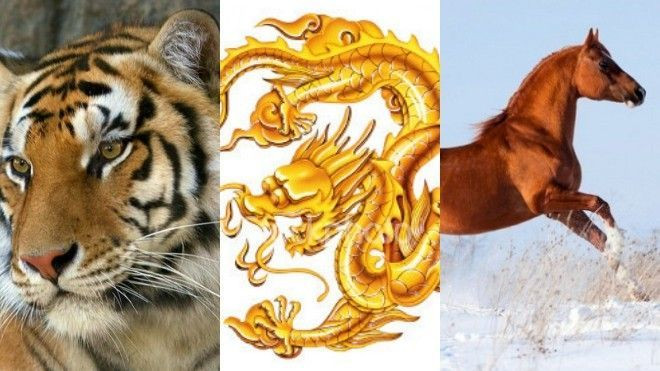 Tử vi tuần mới: Ba con giáp có thể yên tâm hưởng thụ dịp lễ 30/4 trong thuận lợi Ảnh 2