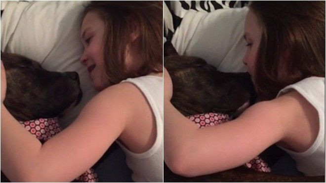 Cô bé hát “You are my sunshine” để dỗ chú chó xa chủ quân nhân gây xúc động mạnh Ảnh 2