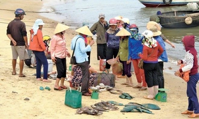 Xuất hiện cá chết trở lại, ngư dân vớt bán cho thương lái cả tấn cá chết