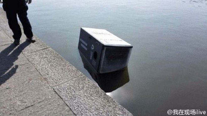 Đi tù vì đá thùng rác trị giá hơn 100 triệu xuống hồ Ảnh 2