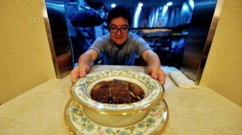 Đây chính là bát mì bò đắt nhất thế giới Ảnh 2