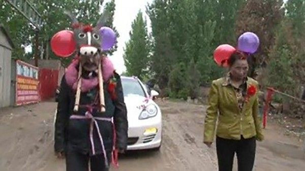 Kỳ lạ cặp vợ chồng già hóa trang thành lừa, kéo xe hoa rước dâu về dinh Ảnh 2