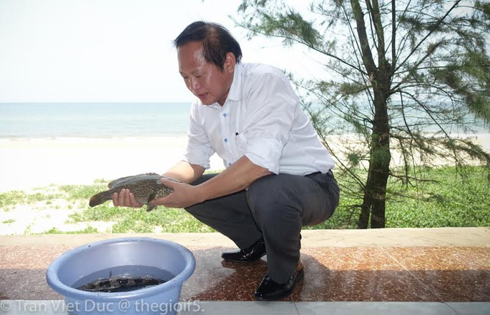 Bộ trưởng Trương Minh Tuấn mời nhà báo ăn cá biển tại Quảng Bình Ảnh 2