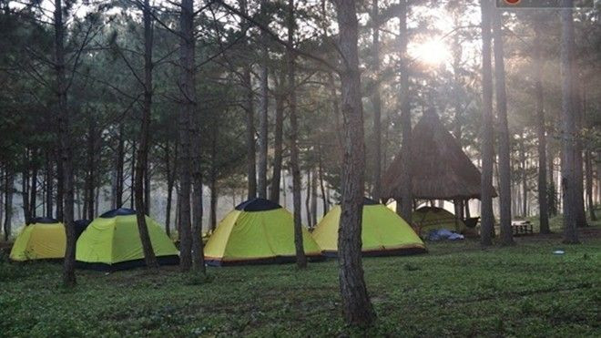 Bị khách sạn hét giá, khách du lịch Đà Lạt chọn tour cắm trại ngoài trời Ảnh 2