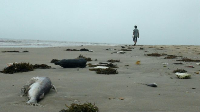 Hội đồng Quốc gia tìm nguyên nhân cá chết ở miền Trung chính thức vào cuộc Ảnh 2