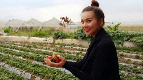 7 vườn dâu đẹp khó chối từ tại Đà Lạt Ảnh 2