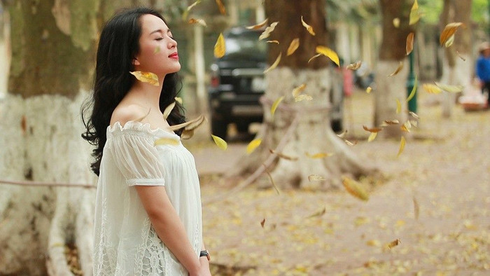 Cận cảnh bức tranh Hà Nội mùa thay lá Ảnh 2