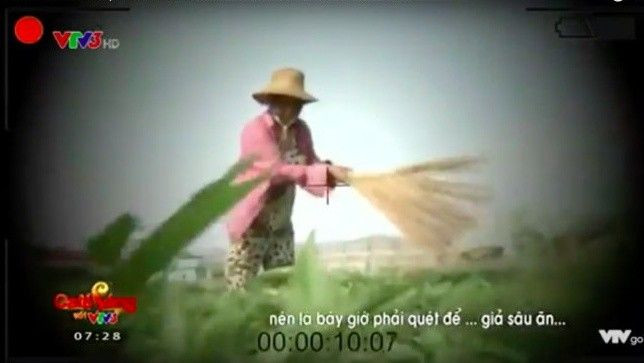 Phóng viên VTV 'xin thông cảm' về phóng sự dùng chổi quét rau Ảnh 2