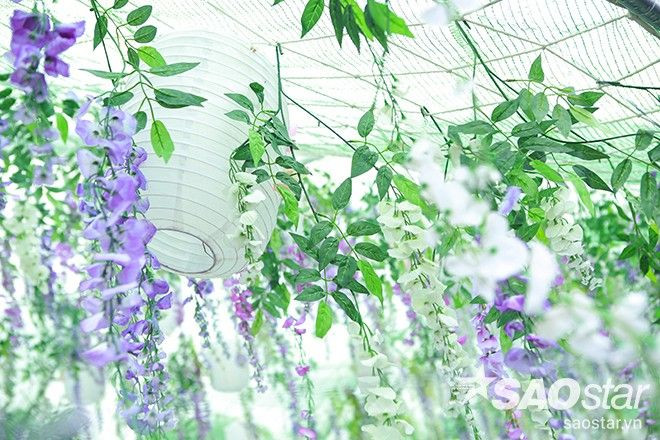 Trai xinh, gái đẹp nô nức chụp ảnh tự sướng dưới hoa… giả Ảnh 2