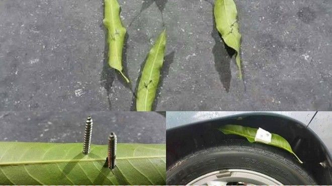 Hài hước với biến tấu mới của 'bẫy đinh' trên đường cao tốc Ảnh 2