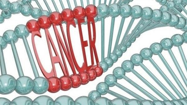 Ung thư sẽ thành 'đại dịch' trong 5 năm tới ở Việt Nam Ảnh 2