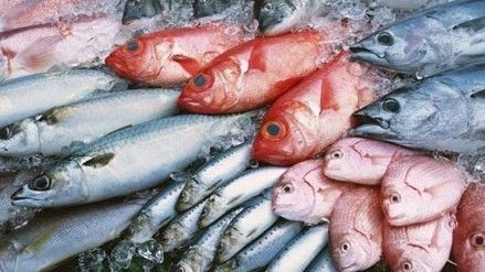 Lưu ý: Cách nhận biết cá tẩm hóa chất vì bị ô nhiễm Ảnh 2