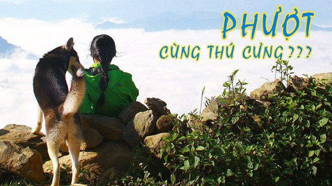 Phượt cùng chó cưng, tại sao không? Ảnh 2