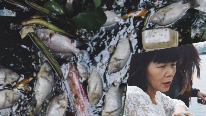 Người dân kênh Nhiêu Lộc: 'Không nuốt nổi cơm, choáng váng vì mùi tanh của cá chết' Ảnh 2