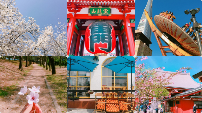 Analog film - Giá trị cổ điển bất biến Ảnh 2