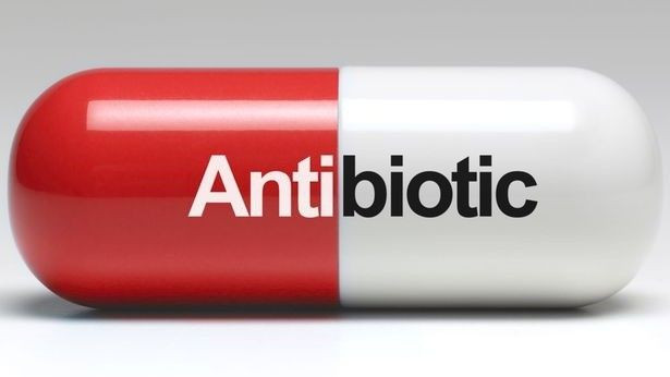 Khi kháng sinh trở nên vô dụng, số người chết vì vi khuẩn sẽ còn nhiều hơn nạn nhân ung thư Ảnh 2
