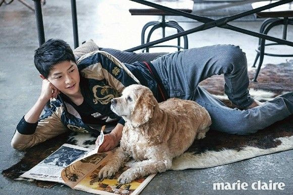 songjoongki (13)