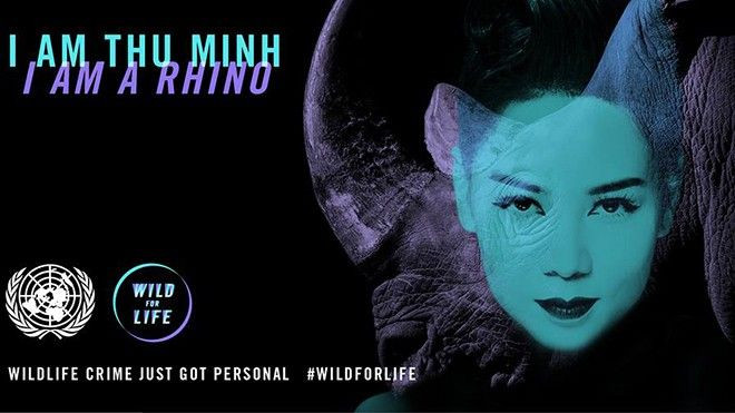 Thu Minh sánh ngang Lý Băng Băng, siêu mẫu Gisele tham gia chiến dịch toàn cầu của Liên Hợp Quốc Ảnh 2