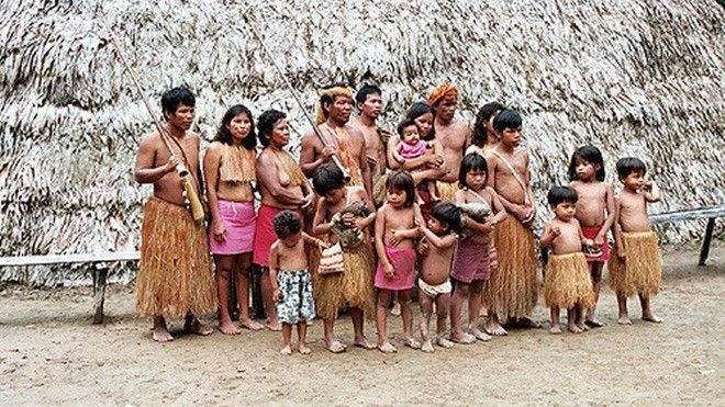 Bộ tộc cuối cùng trên thế giới tố chính phủ Brazil quấy nhiễu cuộc sống Ảnh 2