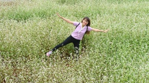 Tam giác mạch đã xuất hiện ở Đà Lạt Ảnh 2