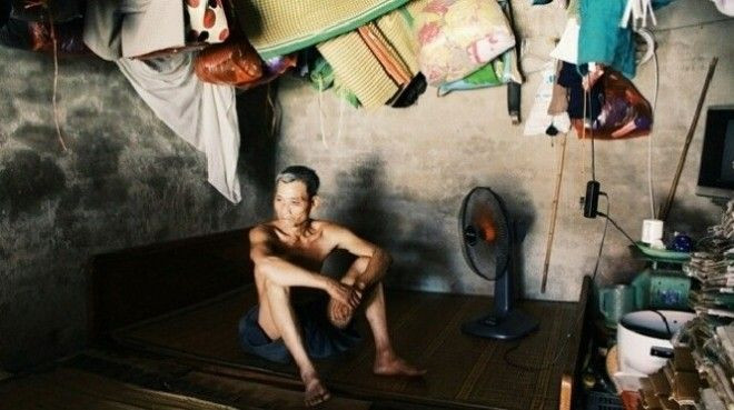 Người 'chảy mỡ', gà ngất xỉu trong ngày nắng nóng 40 độ C ở Hà Nội Ảnh 2