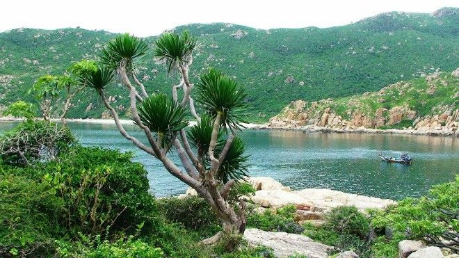 Ghé Phan Rang, đừng bỏ lỡ 10 điểm dừng chân tuyệt đẹp này Ảnh 2