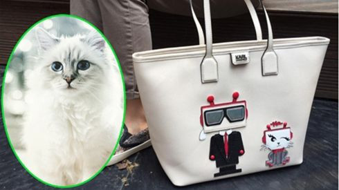 Vì sao hàng triệu nàng say đắm 'cô mèo' của Karl Lagerfeld? Ảnh 2