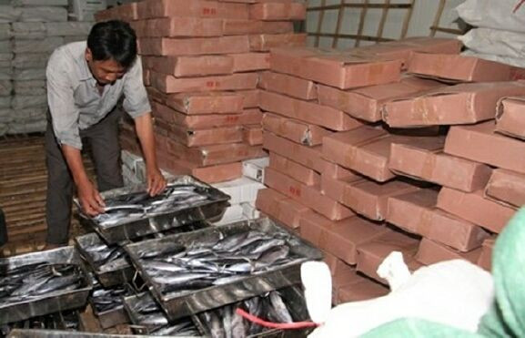 Bà chủ vựa cá nói gì về 30 tấn cá nục nhiễm chất cực độc? Ảnh 2