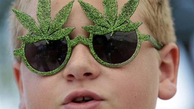 Cần sa - thuốc tiên chữa bệnh nhưng không dành cho thanh niên 'chuyên cần' Ảnh 2