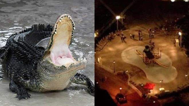 Lại Orlando: Em bé 2 tuổi bị cá sấu kéo xuống nước ngay trong công viên Disney Ảnh 2