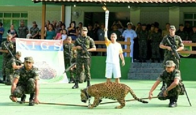 Thế giới dậy sóng trước vụ bắn hạ báo gấm trong lễ khai mạc Olympic Rio 2016 Ảnh 2