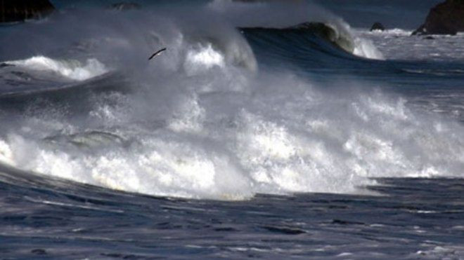 Áp thấp nhiệt đới gây gió giật cấp 8 trên Biển Đông Ảnh 2