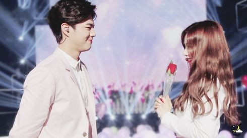 Park Bo Gum - Irene: Cặp đôi mật ngọt khiến fan nhiều phen 'thòng tim' Ảnh 2