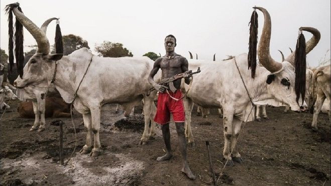 Bộ tộc sẵn sàng bỏ mạng vì một… đàn bò Ảnh 2
