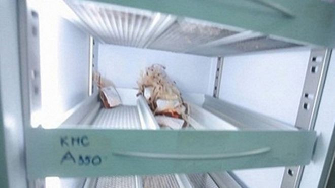 Báo động đỏ: Ngân hàng máu chỉ còn đủ dùng 5 ngày Ảnh 2