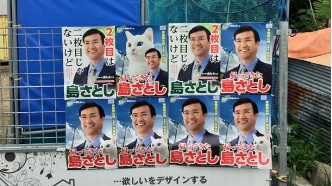 Chính trị gia Nhật lấy mèo trắng mắt 2 màu làm 'linh vật' cho chiến dịch tranh cử Ảnh 2