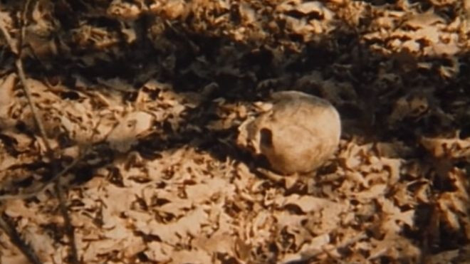 Kỳ án hộp sọ người trong rừng sâu Ảnh 2