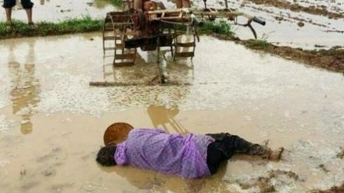 Xót xa người cha gục chết giữa thửa ruộng đang cày vì kiệt sức Ảnh 2