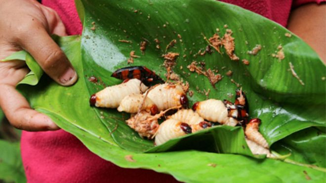 Bán đuông dừa, một nhà hàng bị phạt 6 triệu đồng Ảnh 2