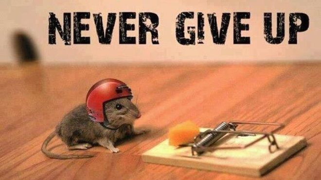 Nếu bạn đang gặp khó khăn và có ý định bỏ cuộc, nhất định phải xem những hình ảnh này! Ảnh 2